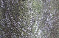 Harewood fibreglass roof work